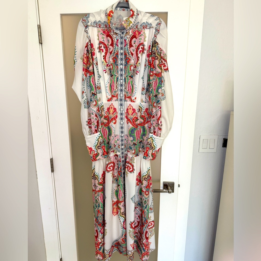 Savvy Multicolor Paisley Long Sleeve Dress